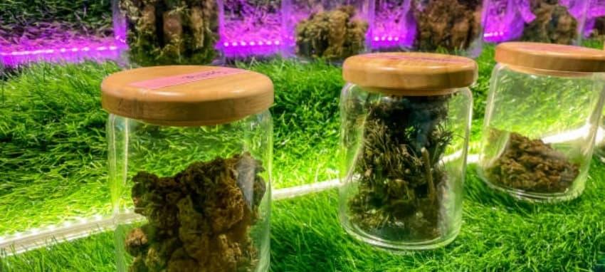 E-cigaretta guía esencial para comprar y comparar vuse cigarrillo electronico opiniones accesorios y mejores ofertas