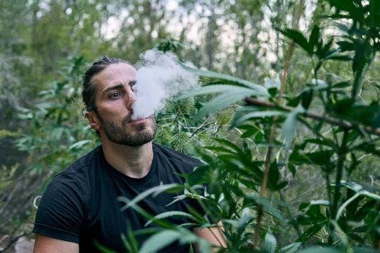 E-cigarete presenta todo sobre cigarrillos electronicos heets, guía práctica, comparativa y consejos para elegir